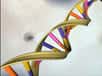 Le test génétique personnalisé commercialisé par l’entreprise 23AndMe est disponible au Royaume-Uni depuis quelques jours. En 2013, la FDA avait demandé à l’entreprise de ne plus vendre ses kits qui donnaient des informations sur les risques de maladies chroniques.