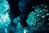 La couleur du fluide hydrothermal émis par les fumeurs noirs est principalement liée à sa forte teneur en fer et en manganèse. © USGS, Wikimedia Commons, DP