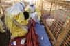 Le virus de la fièvre hémorragique Ébola a touché 1.323 personnes et en a tué 729, à ce jour, au cours de l’épidémie la plus importante jamais observée. Ces derniers chiffres ont été fournis par le docteur Margaret Chan, la directrice générale de l’Organisation mondiale de la Santé (OMS), dans un discours adressé aux dirigeants africains concernés par la flambée. Objectif, stimuler la lutte contre l’épidémie. Dans ce but, elle a également invité le comité d’urgence de l’OMS à se réunir le 6 août prochain pour estimer le risque de propagation au niveau international.