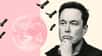 Après deux semaines de bombardements entre l'Iran et Israël, un acteur bien à l'abri dispose d'un levier décisif. Elon Musk compte mobiliser sa constellation Starlink dans le but avoué de faire tomber le régime de Téhéran.