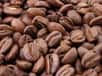 Des chercheurs internationaux ont effectué le séquençage du génome du caféier, ce qui apporte des informations sur son organisation et son évolution. L'étude pourrait aussi permettre d’améliorer certaines variétés.