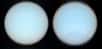 Les images iconiques d’Uranus et Neptune, acquises par la sonde Voyager 2 de la Nasa, ne rendent pas fidèlement les couleurs de ces deux planètes gazeuses. Au fil du temps, les explications de la Nasa concernant ces couleurs ont été progressivement oubliées, induisant en erreur sur la véritable réalité des teintes. Une équipe de scientifiques, dirigée par le professeur Patrick Irwin de l'université d'Oxford, a pu reconstituer la représentation la plus précise à ce jour de la couleur de Neptune et d'Uranus. Surprenant !