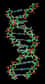 Deux études proposent des méthodes globalement assez similaires pour réaliser un séquençage de l’ADN abordable et bien plus rapide. Le principe : faire passer un simple brin de la molécule dans un trou minuscule et détecter la signature électronique au passage de chacun des nucléotides. Pourra-t-on bientôt connaître tout son génome en 15 minutes chrono ?