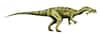 Une vertèbre de spinosaure très proche de celle d’un Baryonyx britannique a été trouvée en Australie. Datant du Crétacé inférieur, alors que la Pangée était déjà bien fragmentée, cette découverte laisse entendre que les populations de dinosaures carnivores des hémisphères nord et sud n’étaient en réalité pas séparées.