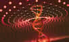 Un centre de recherche biomédicale de Londres a mené des expériences d’édition génétique par CRISPR sur des embryons humains. Les chercheurs ont constaté que plus de la moitié des embryons contenaient des mutations involontaires et de larges délétions de séquences ADN. Preuve que la technique est encore loin d’être au point et que le « bébé amélioré » n’est pas pour demain.