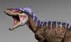 De la taille d’un petit cerf, ce tyrannosaure prouve qu’il aura fallu moins de 15 millions d’années à l’espèce pour passer d’une taille modeste au plus grand prédateur de tous les temps. Comment est-il parvenu à cet exploit ?