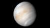 Une journée moyenne sur Vénus dure 243,0226 jours terrestres. © Nasa/JPL-Caltech