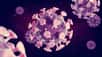 Vous êtes-vous déjà demandé combien de particules virales siégeaient dans le corps d'une personne infectée par le coronavirus ? Des scientifiques ont fait les comptes.