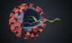 Aujourd'hui, l'ARN messager permet d'élaborer des vaccins contre des virus pathogènes.&nbsp;© Vchalup, Adobe Stock