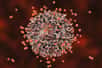 L'immunité garde une trace des infections passées. Tout le monde a déjà eu un rhume, une infection bénigne parfois causée par un coronavirus. Selon une étude récente, des cellules immunitaires formées lors d'un rhume pourraient aussi protéger, partiellement, contre les infections au SARS-CoV-2.