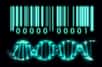 Des chercheurs de Microsoft ont créé des « étiquettes moléculaires » à partir de brins d’ADN présynthétisés et déshydratés. Un marquage peu coûteux, infalsifiable et pouvant être intégré à n’importe quel support de manière invisible. De quoi remiser aux oubliettes le sacro-saint code-barres ?