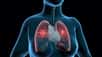 Le SARS-CoV-2 peut être transmis via une transplantation pulmonaire. © TuMeggy, Adobe Stock