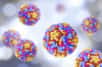 Il existe plus de 160 sortes de rhinovirus, responsables du rhume. © Kateryna_Kon, Adobe Stock