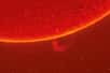 L’extrême résolution permet de distinguer des détails très fins, comme cette spicule, un jet de gaz chaud éjecté de la surface du soleil à plus de 20 km/s. ©&nbsp;Andrew McCarthy