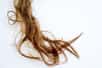 La trichotillomanie consiste à s’arracher les cheveux compulsivement. © Nichizhenova Elena, Adobe Stock