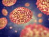 Un nouveau cas d’infection à la « variole de l’Alaska » a été découvert cette année après un premier cas en 2015. Le virus, transmis apparemment par des petits mammifères, semble pour l’instant cantonné à l’Alaska.