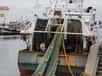 Alors que de nouvelles études pointent du doigt la mauvaise gestion des stocks de poisson, la Commission européenne vient de terminer la révision de sa Politique commune de la pêche. Un texte fort, qui va dans le sens d’une pêche durable, mais qui risque d’être atomisé devant le Parlement européen car trop opposé aux intérêts de la France et de l’Espagne, les deux plus gros pêcheurs de l’Union.