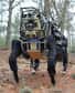 Voici AlphaDog, un robot quadrupède autonome. Développé par la société Boston Dynamics pour le compte de la division R&D du Département américain de la Défense, la Darpa, il assurera le transport de matériel pour les soldats déployés sur un théâtre d’opération.