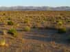 Avec le réchauffement du climat, les sols arides perdent leur azote par dégazage selon une étude de l’Université Cornell. Les écosystèmes désertiques devraient donc s’appauvrir en végétation.