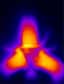 Le système en étoile produisant des photons avec des excitons. Crédit : Leonid Butov/UCSD