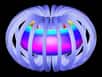 Représentation 3D de la surface du plasma et des bobines de champ magnétique. © Oak Ridge National Laboratory, Wikimedia Commons, CC by-sa 2.0