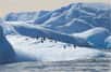 Entre 2007 et 2008, l’Année polaire internationale fait des pôles de la Terre le centre du monde… Découvrez l’étonnante galerie d’images que nous leur consacrons.