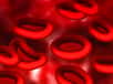 La quête d'un sang artificiel se poursuit. Des scientifiques britanniques viennent de réussir à obtenir des globules rouges à partir de cellules souches et créer un sang de groupe O qu’ils espèrent tester prochainement.