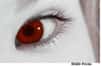 Vous voulez vous faire un œil de chat ou un œil rouge de vampire pour une soirée d’Halloween ? Ou simplement des yeux bleus ou verts pour changer un peu au quotidien ? Attention, les lentilles cosmétiques peuvent aussi vous coûter la vue.