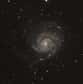Après Messier 51 la galaxie du Tourbillon, c'est au tour de M 101 d'héberger une supernova. Deux événements assez rapprochés qui font le bonheur des astronomes amateurs.