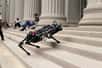 Le MIT vient de présenter la troisième version de son robot quadrupède Cheetah 3 qui peut accomplir toutes sortes de prouesses : galoper, sauter, grimper un escalier jonché de débris... Et tout cela en aveugle, sans aucune caméra.