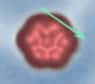 Une molécule de 1,2 nanomètre a pu être mise en rotation autour d'un axe. C'est à ce jour le plus petit mécanisme du monde. Application ? Par exemple se déplacer sur un brin d'ADN pour aller effectuer une intervention.