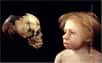 C’est parce qu’il n’a pas su chasser les lapins que l’Homme de Néandertal aurait décliné voilà 30.000 ans ! C’est du moins ce que suggèrent l’étude et le dénombrement de restes de mammifères trouvés dans des grottes du sud de l'Europe (France, Espagne et Portugal).