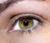 Pour sensibiliser aux problèmes de déficiences visuelles et de cécité, la Journée mondiale de la vue a lieu ce 11 octobre 2012. Futura-Sciences vous donne les clés pour mieux connaître les troubles de la vision et en profite pour dévoiler quelques mystères sur l'œil, un organe décidément étonnant.