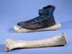 Les premiers patins à glace, en os, ne servaient pas à s'amuser mais à se déplacer. Des chercheurs entendent le démontrer avec une étude détaillée, qui a mesuré les efforts physiques sur une patinoire et pris en compte la disposition fractale des lacs finlandais...