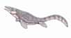 Des chercheurs suédois annoncent avoir identifié des restes de collagène de type I dans un fossile de mosasaure datant du Crétacé. Ces reptiles marins, qui n’étaient pas des dinosaures, sont des cousins des varans actuels.