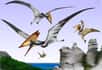 On les présente encore souvent comme des dinosaures mais ce n’en étaient pas. Les ptérosaures qui dominaient le ciel à l’ère mésozoïque partagent cependant des caractéristiques communes avec les derniers dinosaures vivants, les oiseaux.