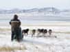 Derrière son traîneau et ses chiens, Nicolas Vanier est entré en Mongolie juste avant la fermeture du poste-frontière avec la Chine. Il découvre l'extraordinaire paysage des immenses steppes de la Mongolie. Il vient de transmettre ses premières impressions à Futura-Sciences.
