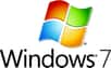 Un Windows 7 « E », vendu uniquement en Europe, qui n'aurait pas de navigateur. Voilà la proposition de Microsoft face à la Commission européenne qui entend briser le monopole de fait dont l'éditeur américain dispose pour son Internet Explorer grâce à Windows préinstallé sur la quasi totalité des PC. Une solution qui soulève autant de problèmes qu'elle en résout.