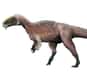 Le tyrannosauroïde géant, prédateur du Crétacé, pesait près d’une tonne et demie, pour 9 mètres de long. C'est ce que révèlent les trois squelettes exhumés en Chine, qui démontrent également que ce Yutyrannus était couvert de plumes… de poussin.