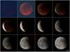 Comme promis, voici un florilège de photographies réalisées le mercredi 15 juin en soirée à l'occasion de l'éclipse de Lune, et postées sur notre forum d'astronomie.
