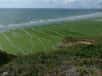 C'est la saga de l'été. Qui tue les sangliers sur les plages bretonnes ? La réponse a été publiée lundi par la préfecture des Côtes-d'Armor et les algues vertes sont très probablement coupables.
