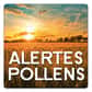 Lauréat 2014 des Trophées de la santé mobile, l’application Alertes Pollens permet de suivre en temps réel les pics de pollens en France. Les concepteurs espèrent ainsi mieux prévenir les complications respiratoires, en particulier chez les personnes sujettes aux allergies.