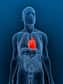 Injecter un liquide fluoré dans les poumons pour refroidir les organes vitaux après un arrêt cardiaque : c'est l'étonnante stratégie testée chez l'animal par des chercheurs de l'Inserm pour limiter les séquelles grâce à une hypothermie rapide.