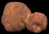 L'objet transneptunien Arrokoth, survolé par New Horizons lors du nouvel an 2019, pourrait avoir changé significativement de forme au cours des 100 premiers millions d'années qui ont suivi sa formation. Ce petit corps pourrait avoir acquis sa forme de bonhomme de neige aplati en raison du dégazage de composés volatils.