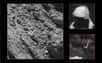 Après une quête de plusieurs mois, Philae, le plus célèbre des robots spatiaux a été localisé à la surface de la comète Tchouri. Il a été repéré couché sur une image prise par Rosetta à seulement 2,7 km du noyau cométaire. C’est à l’endroit même qu’avait prédit les calculs effectués par les ingénieurs en mécanique spatiale du Cnes.