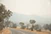 En Australie, la situation ne s’arrange vraiment pas. La nouvelle vague de chaleur attendue cette fin de semaine fait craindre la propagation des feux de forêt à proximité des banlieues sud de Canberra. Devant cette menace, la capitale fédérale australienne est désormais déclarée en état d'alerte par les autorités pour la première fois depuis 2003.