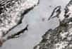 D’étranges formations circulaires sont apparues, le temps d’une gelée, à la surface du lac Baïkal en Sibérie méridionale. Géologues et météorologues se perdent en conjectures et ne parviennent pas à expliquer cet étrange phénomène naturel.