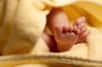 Trente-quatre ans après Louise Brown, le premier bébé éprouvette, il y aurait eu 5 millions de naissances grâce à la fécondation in vitro dans le monde, selon les estimations. Si le rythme de ces dernières années se poursuit, on atteindra les 10 millions dans 15 ans, en 2027.