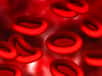 Détecter une maladie du sang en écoutant le cri des globules rouges ? Cette idée astucieuse pourrait bientôt voir le jour dans les hôpitaux. En effet, une étude récente montre qu’il est possible de détecter les ultrasons émis par les hématies et d’en déduire la présence d’une pathologie du sang.