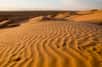 Des scientifiques français ont découvert une bactérie bien particulière : la bactérie du désert. Elle est capable de se protéger contre la déshydratation tout en se multipliant, ce qui est exceptionnel. De plus, elle semble caler son mode de vie sur le cycle de l'eau, bien régulier dans les régions désertiques.